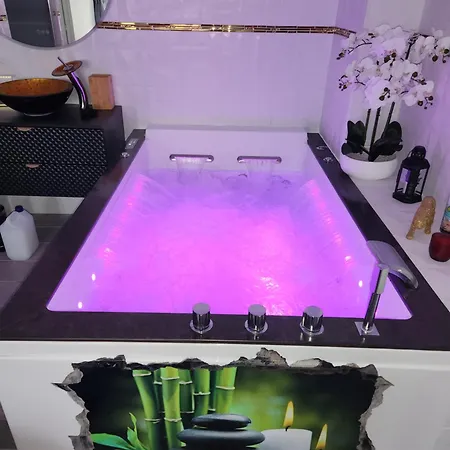 Apartment Romantique Avec Jacuzzi 2 Places *